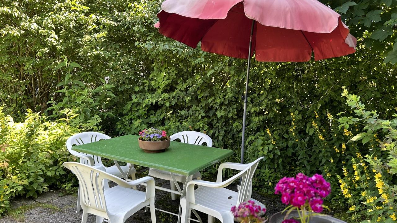 Im ruhigem Garten. Im ruhigem Garten.